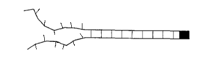 Kittel Zipper Diagram 2